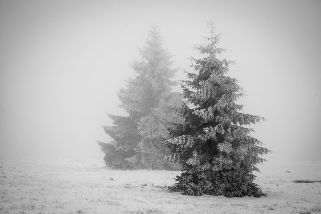 Winter in Böhmerwald